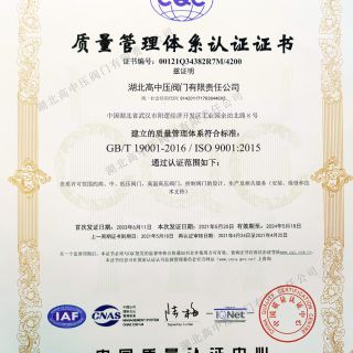 管理体系证书( ISO9001)中文