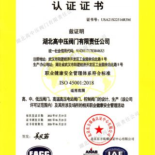 ISO45001职业健康安全管理体系证书（中文）